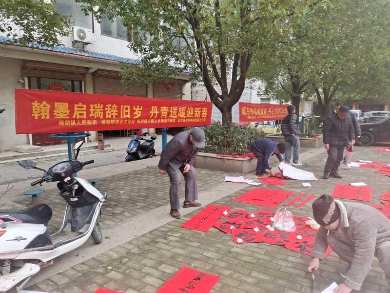 翰墨迎春启新程 文化惠民暖杨湖--颍上县杨湖镇2026年迎新春送万福送春联活动圆满举办(图9)